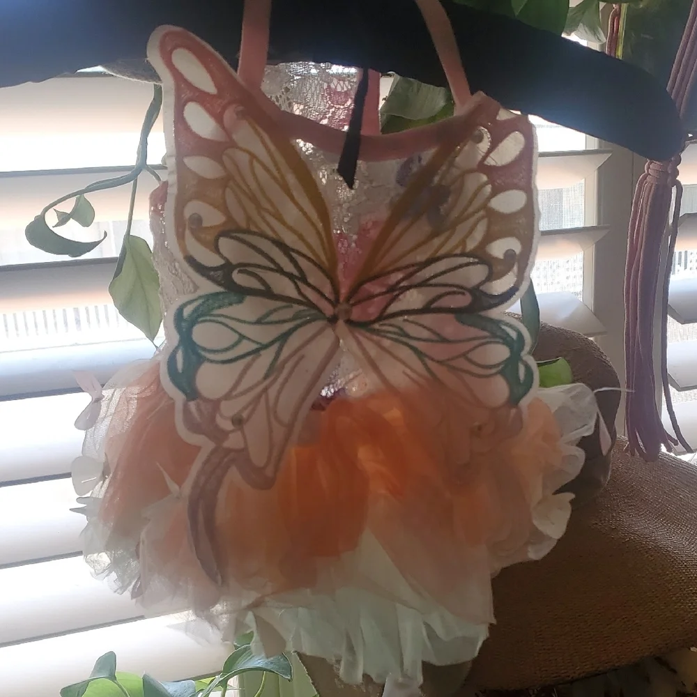 Colorful Butterfly Dog/ Cat Dress